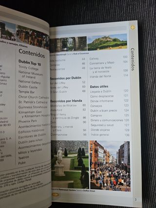 Guías dublin