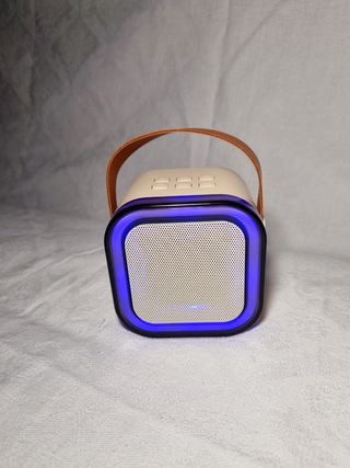 Mini Karaoke Bluetooth con 2 microfoni