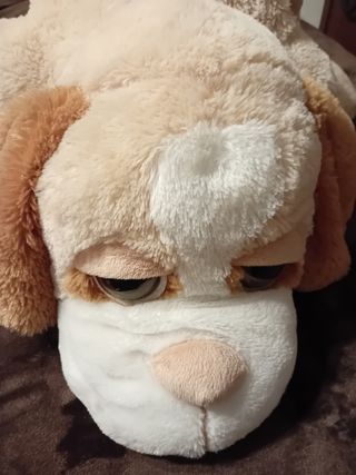 Perro de peluche precioso