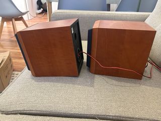 Altavoces Pioneer
