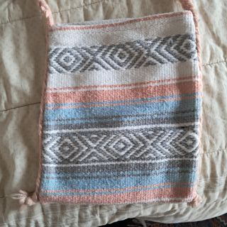 Borsetta a tracolla invernale del Chiapas, Messico