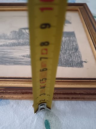 Quandro cornice raffigurato campagna vin