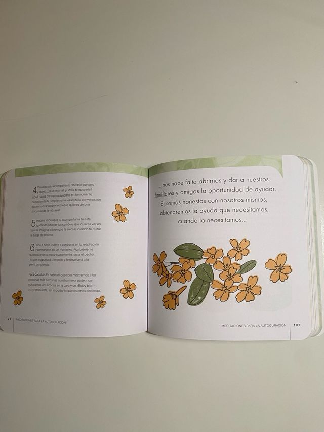 PEQUEÑO LIBRO DE LA MEDITACION (Spanish Edition)