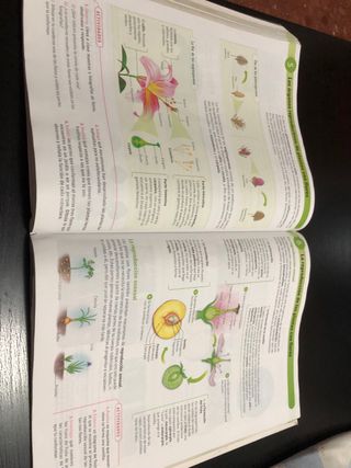 Biología y geología. 1º ESO.