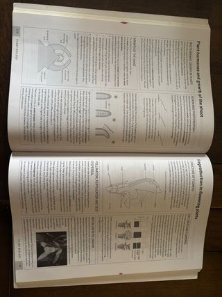 Oxford IB Study Guides: Biology for the IB Diploma