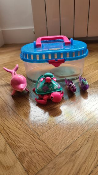 ACUARIO TORTUGA TERRARIO