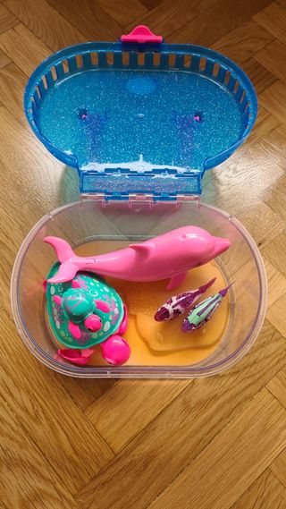 ACUARIO TORTUGA TERRARIO