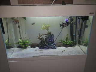 Acuario con mesa aquael 125 litros