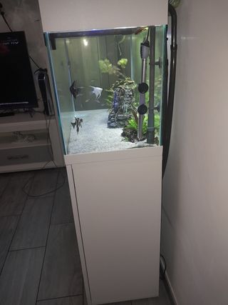 Acuario con mesa aquael 125 litros