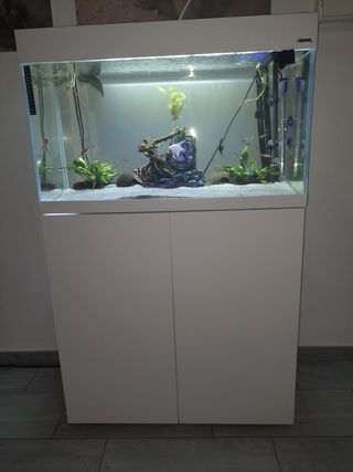 Acuario con mesa aquael 125 litros