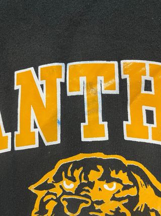 Sudadera Vintage Jerzees Panther Unisex XL