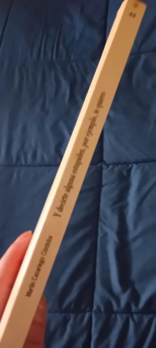 Y decirte alguna estupidez, por ejemplo, te quiero (Espacio Abierto/Open Space) (Spanish Edition)