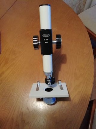 Microscopio escolar