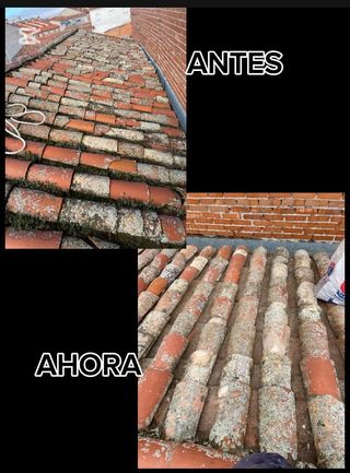 Reformas Inma e Hijos