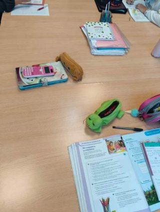 Clases de refuerzo