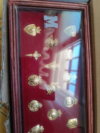 Insignia escudo 