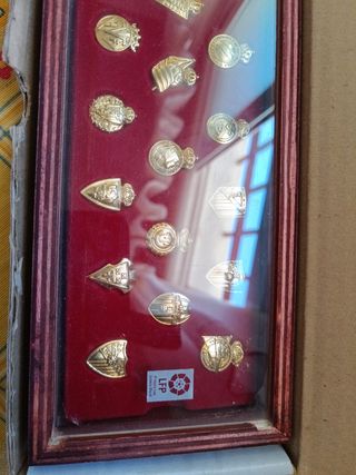 Insignia escudo 