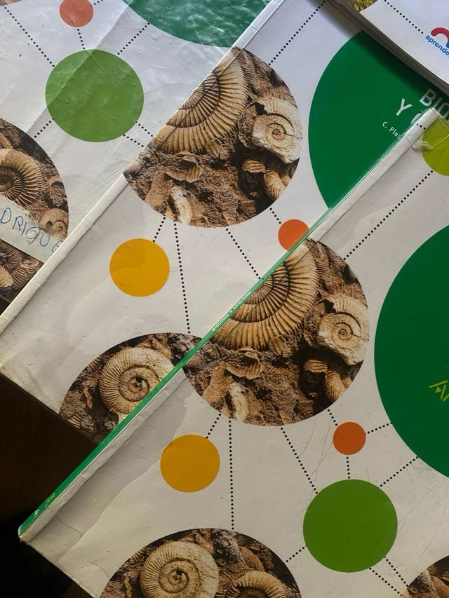 Libros de 4 de la eso