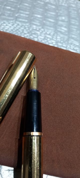 Penna stilografica oro Waterman