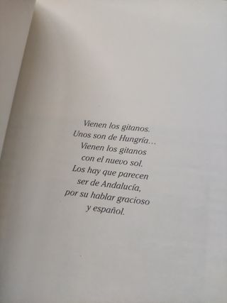 Libro historia pueblo gitano