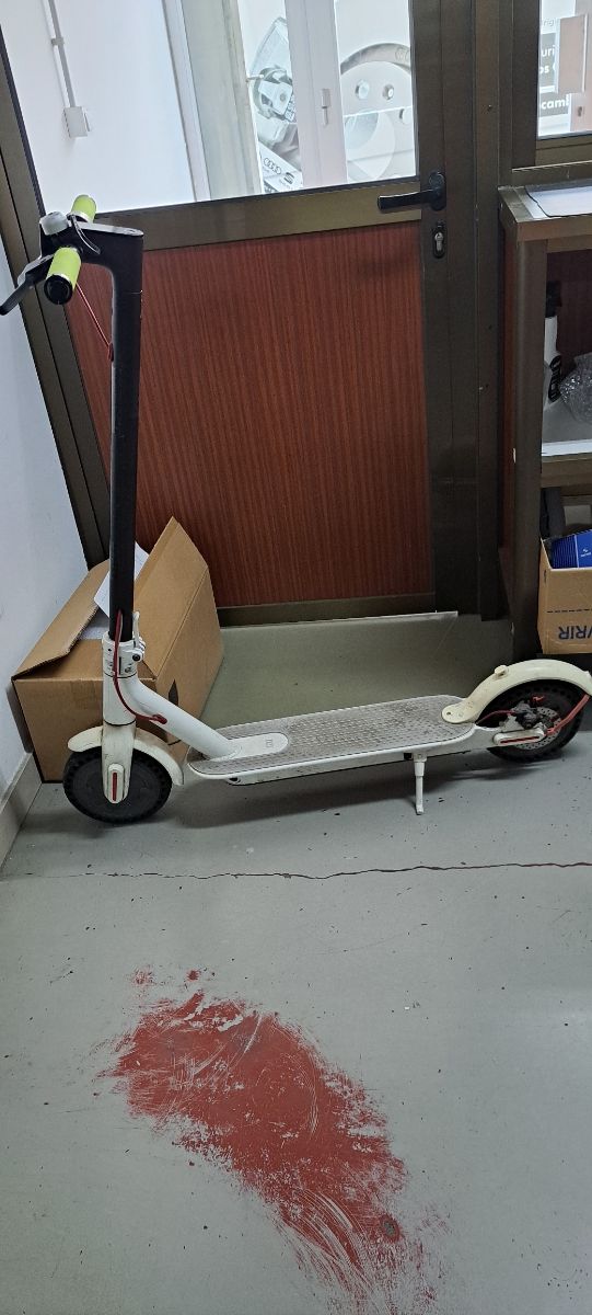 Patinete eléctrico Xiaomi