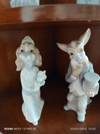 Figuras Nao