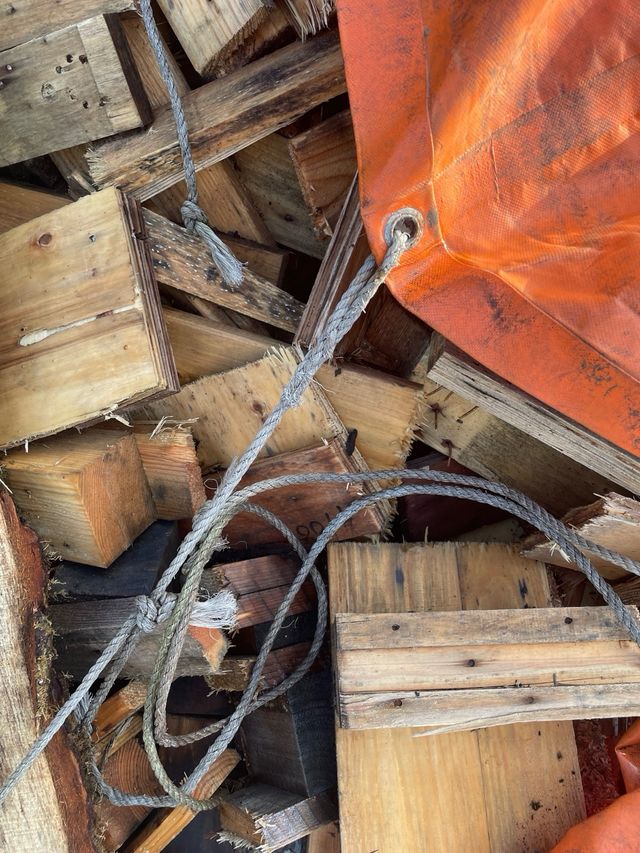 Leña encender economica