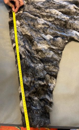 Cazadora de Astracán.