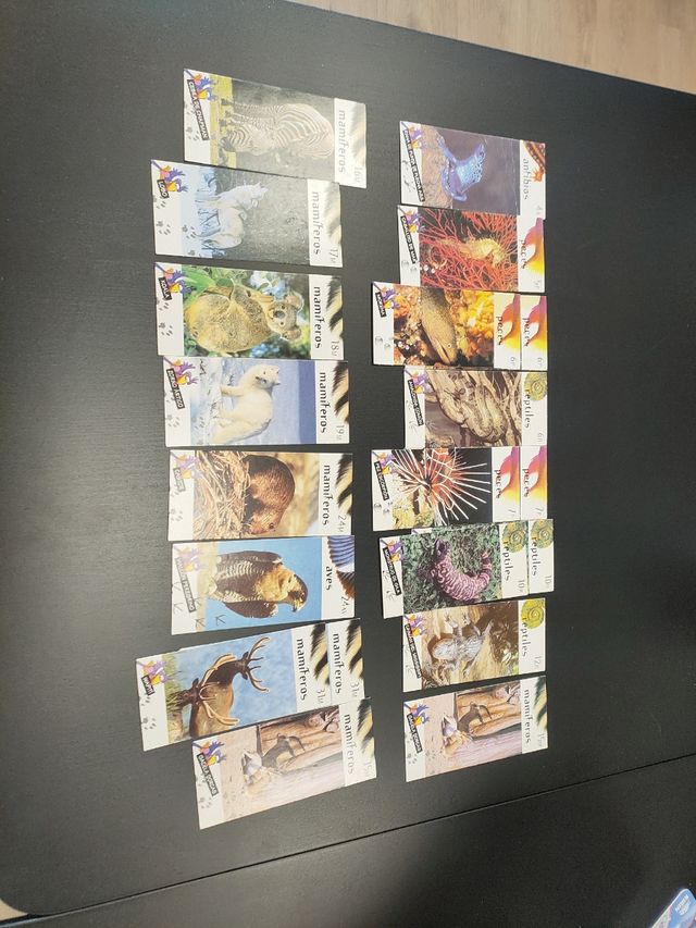 Tarjetas Nestle Jungly lote 20