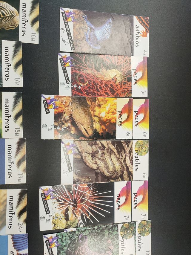 Tarjetas Nestle Jungly lote 20