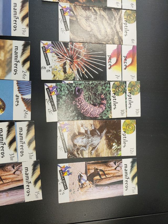 Tarjetas Nestle Jungly lote 20