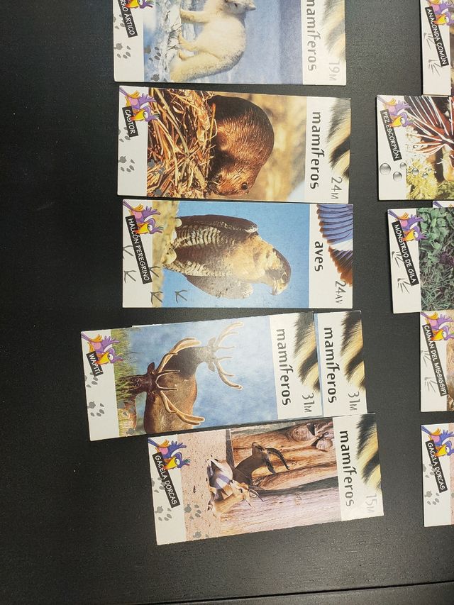 Tarjetas Nestle Jungly lote 20