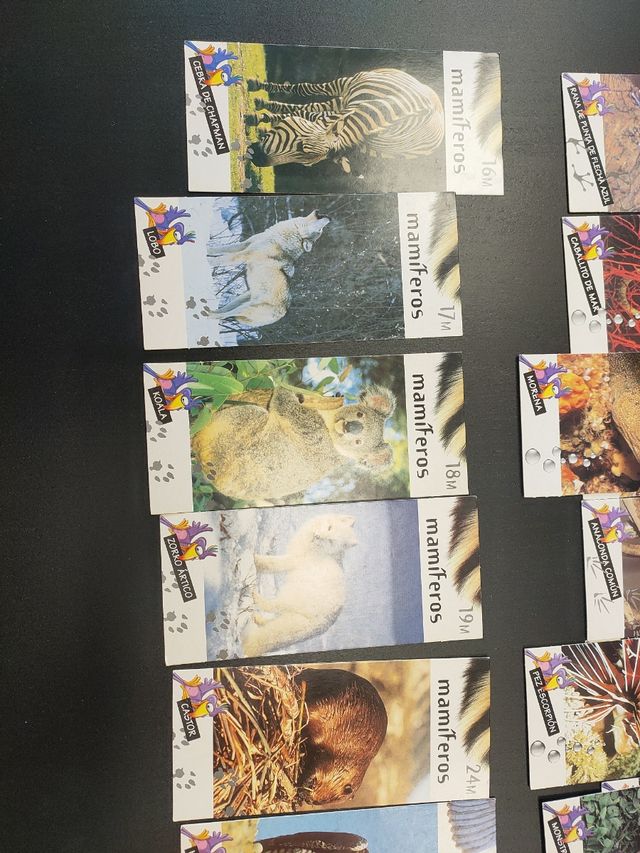 Tarjetas Nestle Jungly lote 20