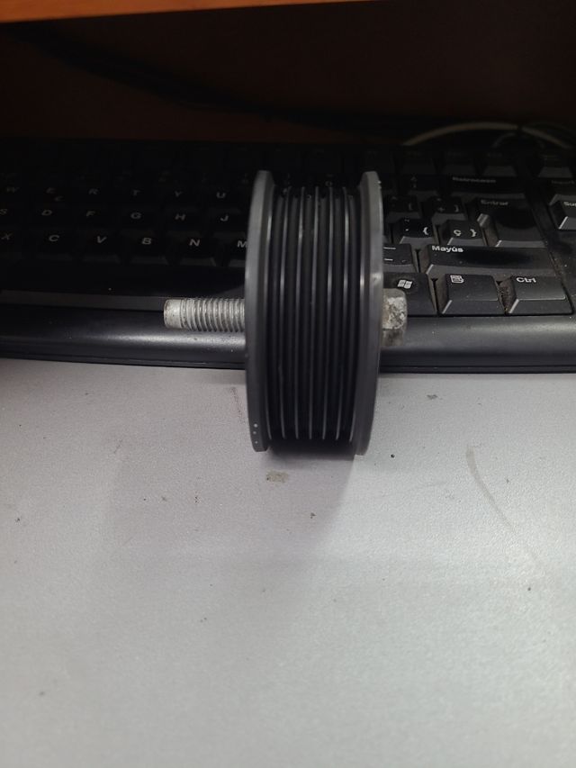 Rodillo tensor alternador