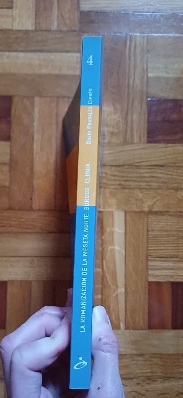 La romanizacion de la meseta norte