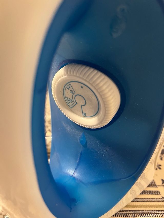 Ferro da stiro a vapore