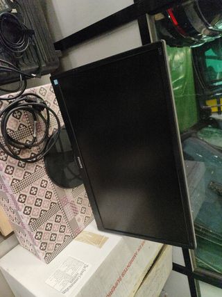 Pantalla Philips ordenador 