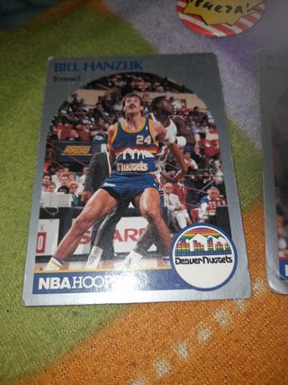 Cromos y variados