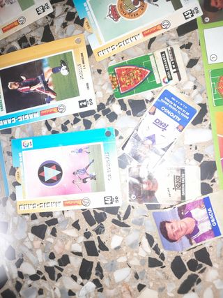 Cromos y variados