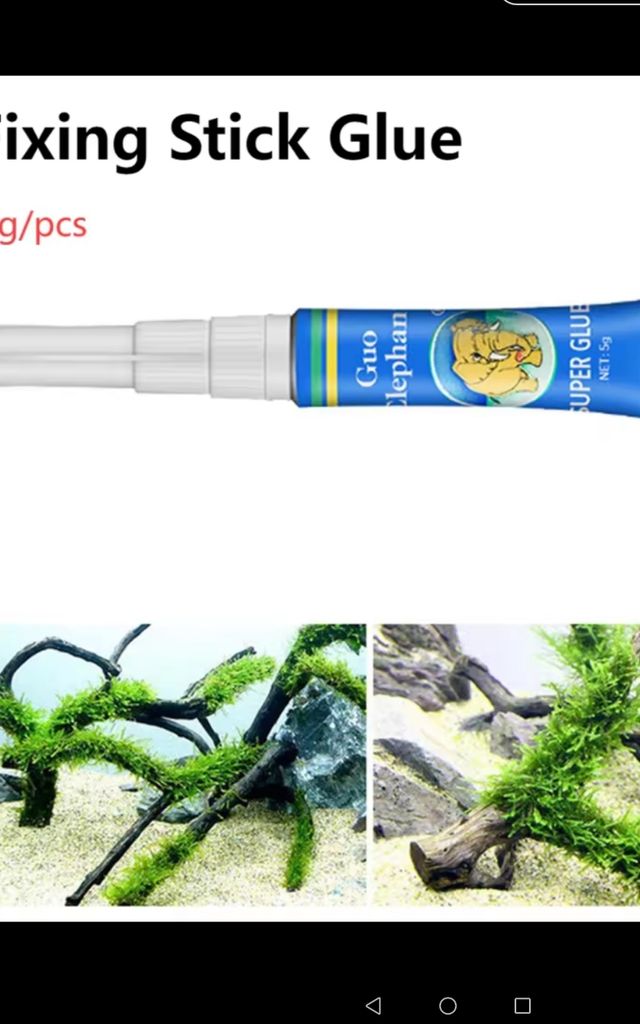 Pegamento acuario plantas etc