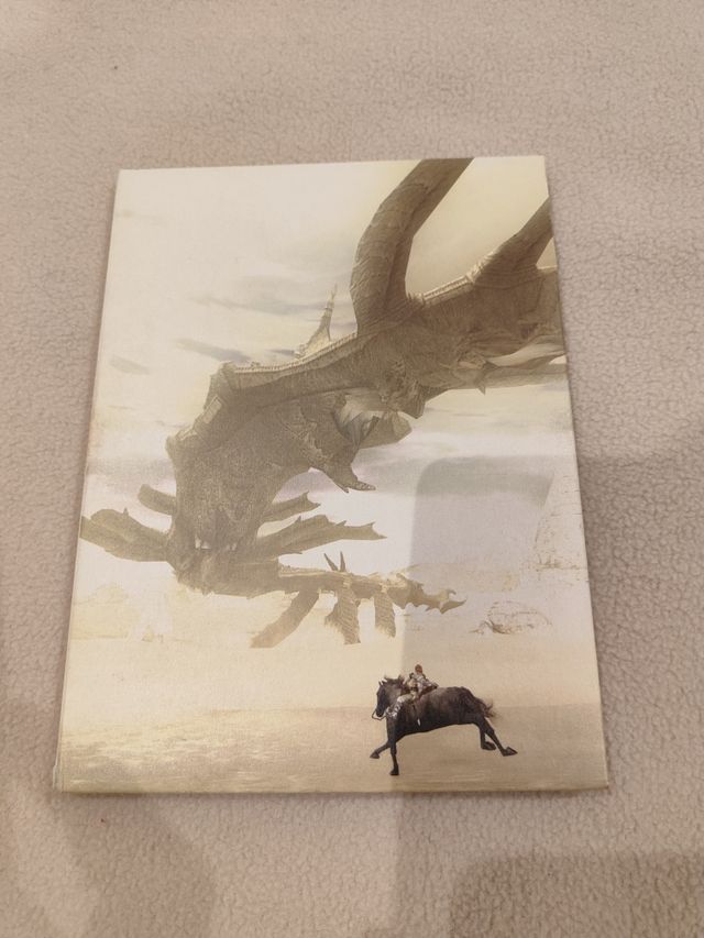 Porta Discos Shadow Of Colossus PS2