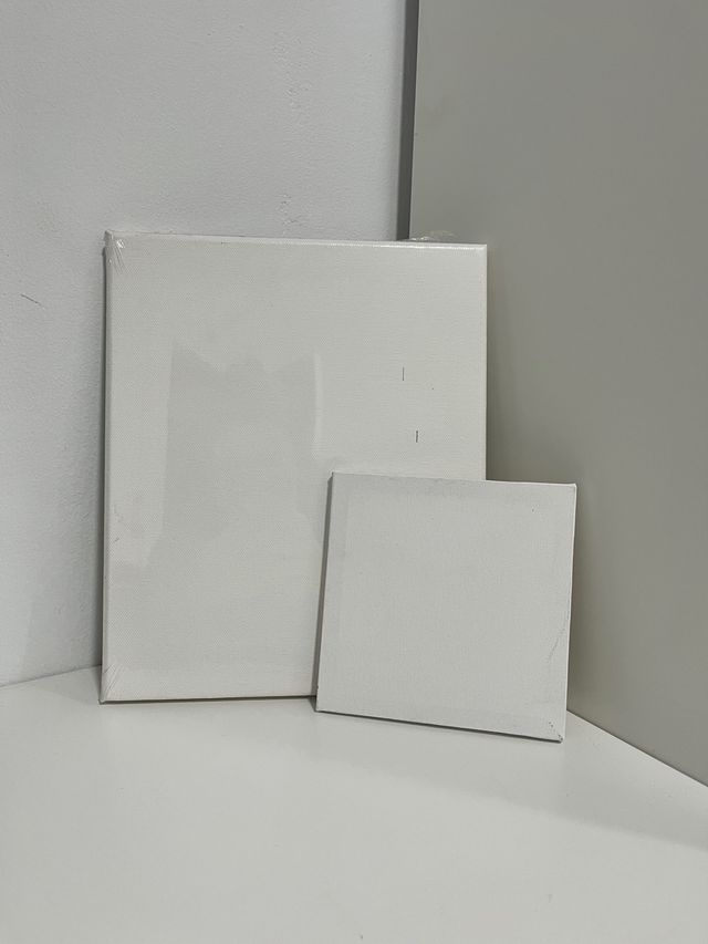 Pack de 2 lienzos nuevos