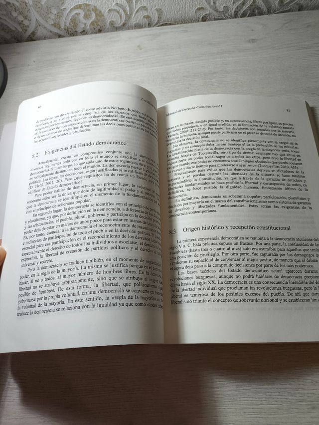 Manual de Derecho Constitucional I