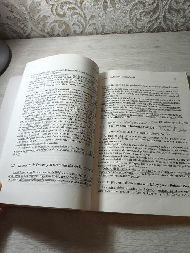 Manual de Derecho Constitucional I