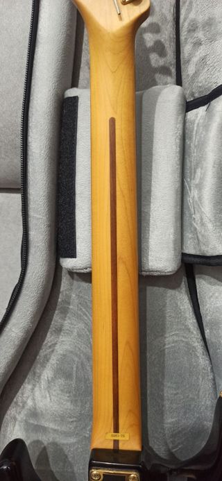 Guitarra Eléctrica Sammic