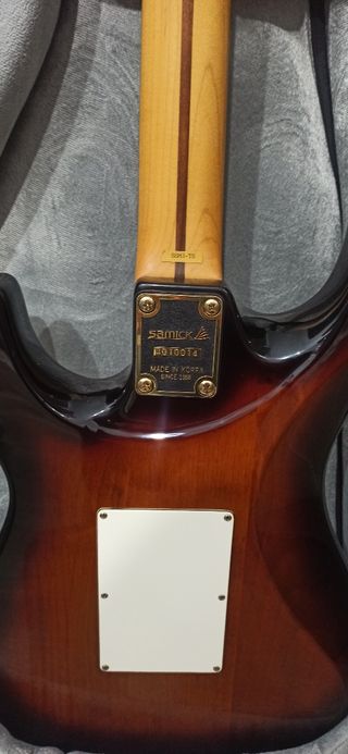 Guitarra Eléctrica Sammic
