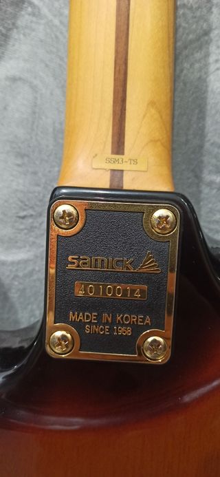 Guitarra Eléctrica Sammic