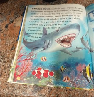 Animales del mundo nº 1