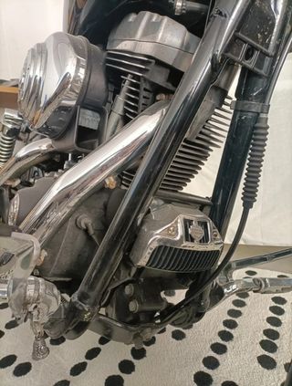 H-D Street Bob '06