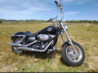 H-D Street Bob '06